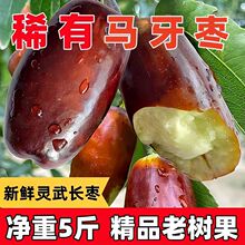 灵武长枣大果新鲜水果当应季枣子脆甜宁夏特大枣皮薄整箱超甜正宗