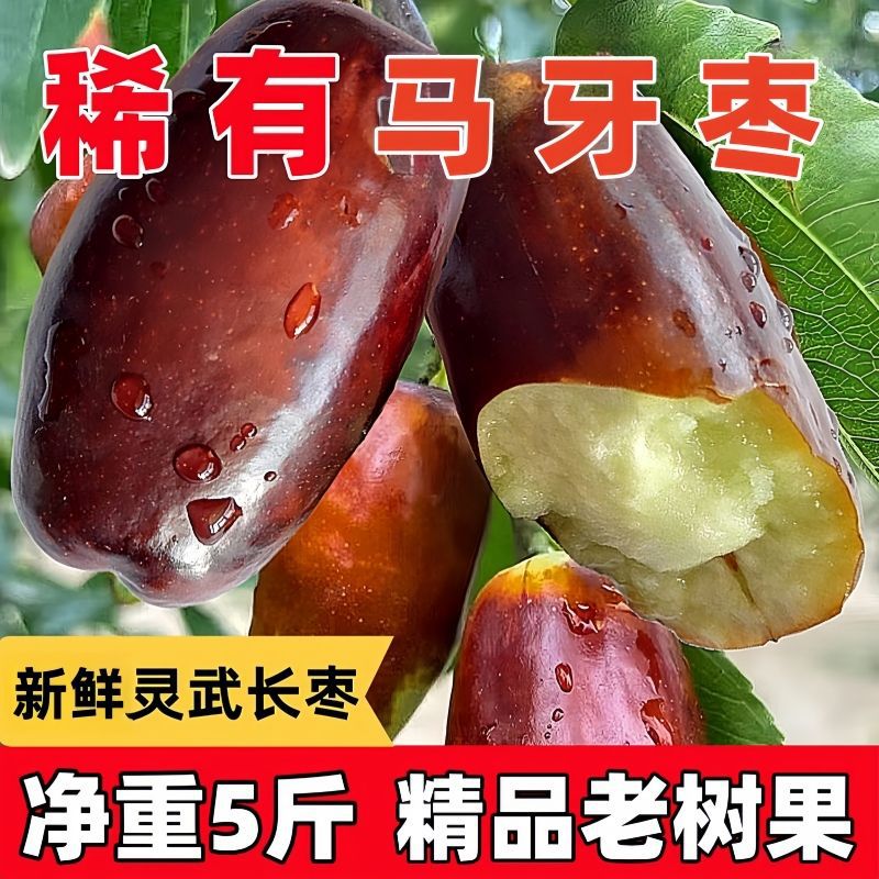 灵武长枣大果新鲜水果当应季枣子脆甜宁夏特大枣皮薄整箱超甜正宗