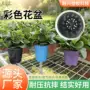 齐全白色蓝色塑料育苗盆