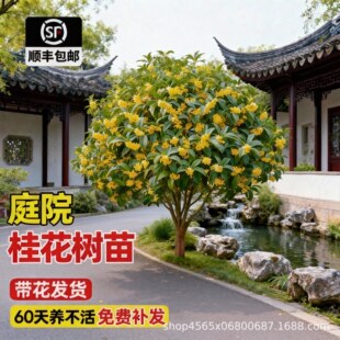 �𻨘������ļ����Ϙ�ͥԺ�����¹�����Nֲ�e�����Ի��ܾGֲ