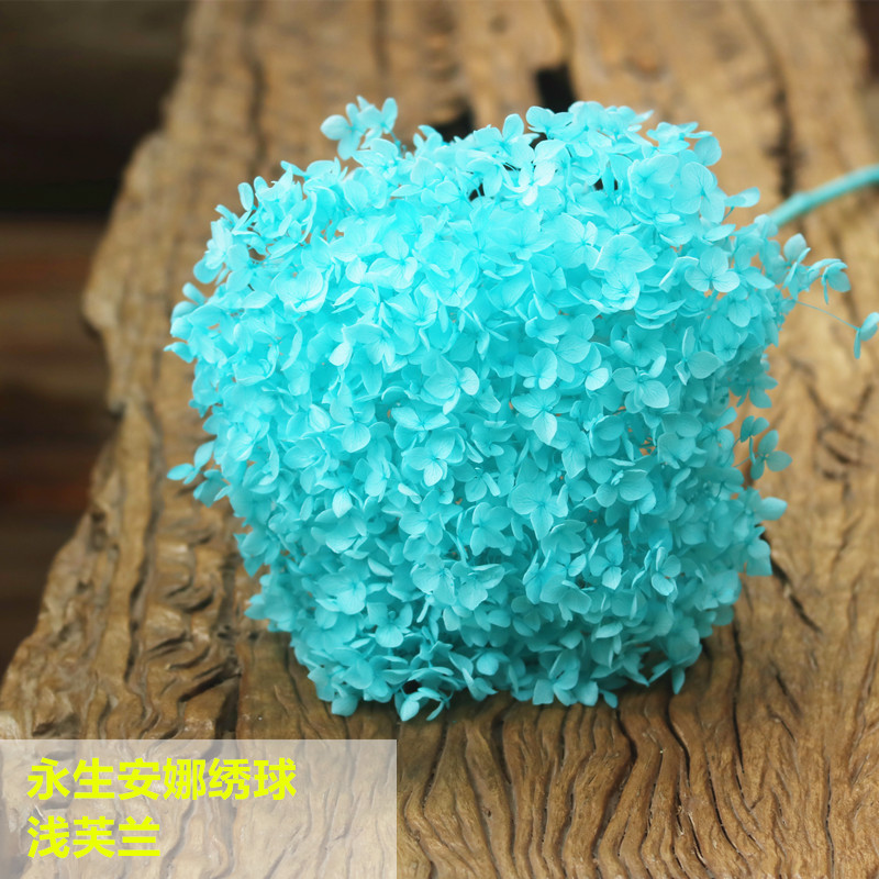 Yunnan inmortalidad hojas de hortenida flor seca una rama decoración del hogar ornamentos hechos a mano ramo DIY material al por mayor