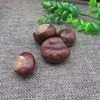 Sakya seed 500g Timber Thoreau son Borneo son Fruit of Chinese rose Suo Luo Zi