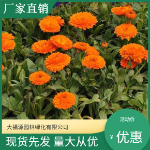 ���ع������Nֲ�� �N�� ���l���� ��K�� �ر�ֲ�� �ݻ�����