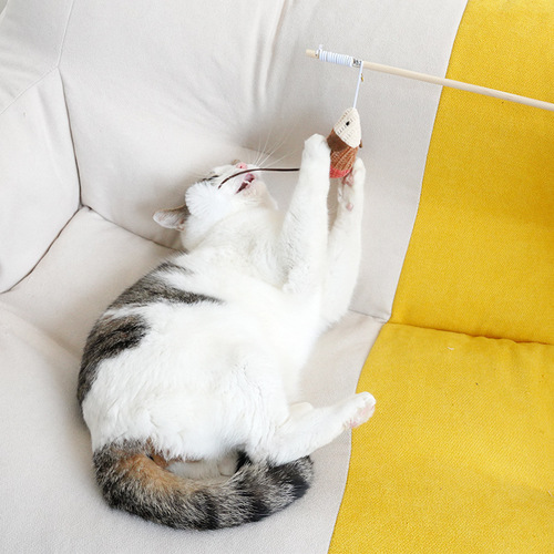 Cat toy cat teasing stick, rat-shaped molars, bite-resistant wooden cat teasing stick, cat self-pleasure and boredom relief, pet supplies wholesale