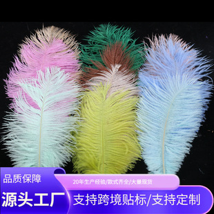 �S�����l20-25cm��ɫ�r�Bë �W�t���b��r�B��ë ��c�b���ë