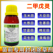 �������`�߲˴��[����������ǰ���]ș���{ˮ���²˷���rș���݄�