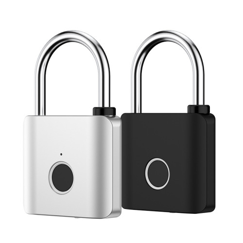 Smart Finger Print Lock Direct Manufacturer Sale Outdoor Waterproof Password Lock Warehouse Small Lock Head Anti-Theft Electronic Lock