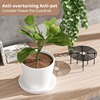 Plant roots insertion soil protection net cover to prevent children and mice, mouse pot, soil protective cats, cat protection