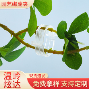 �߲˻���֦�l�̶��������A�̶�����������������ֲ��@�����綨��