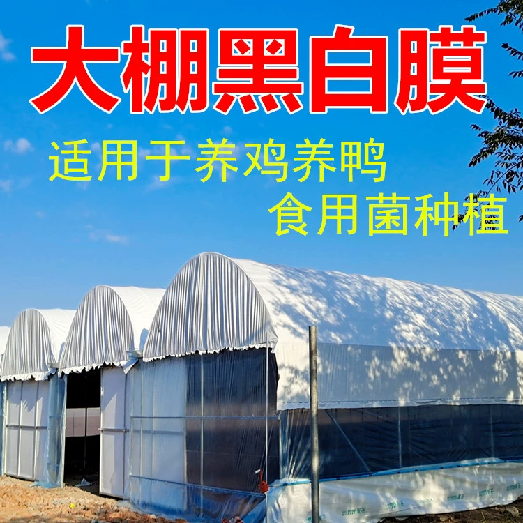 Черно-белая пленка утолщена теплиц, солнцезащитная пленка, зеленая пленка, пленка для размножения, лаблочная пленка, теплоизоляция, охлаждение, выращивание съедобных грибов