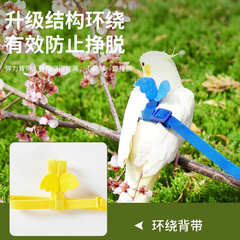 鳥用鸚鵡放飛繩玄鳳虎皮牡丹牽引繩飛行外出背帶遛鳥神器用品玩具