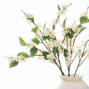 ���滨�{ݮ���ٻ� �𼬹��Ҿ��b��������������{���zӰ�廨��