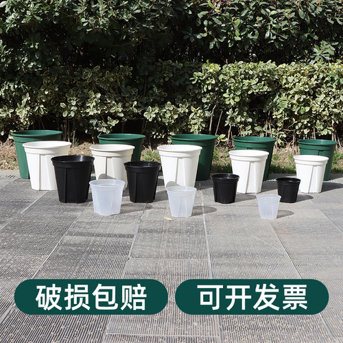 Transparent Green Mountain Pot, Iron Wire Jasmine Rose Succulent Orchid Plastic Pot Manufacturer, Thick Root Control Gallon Pot