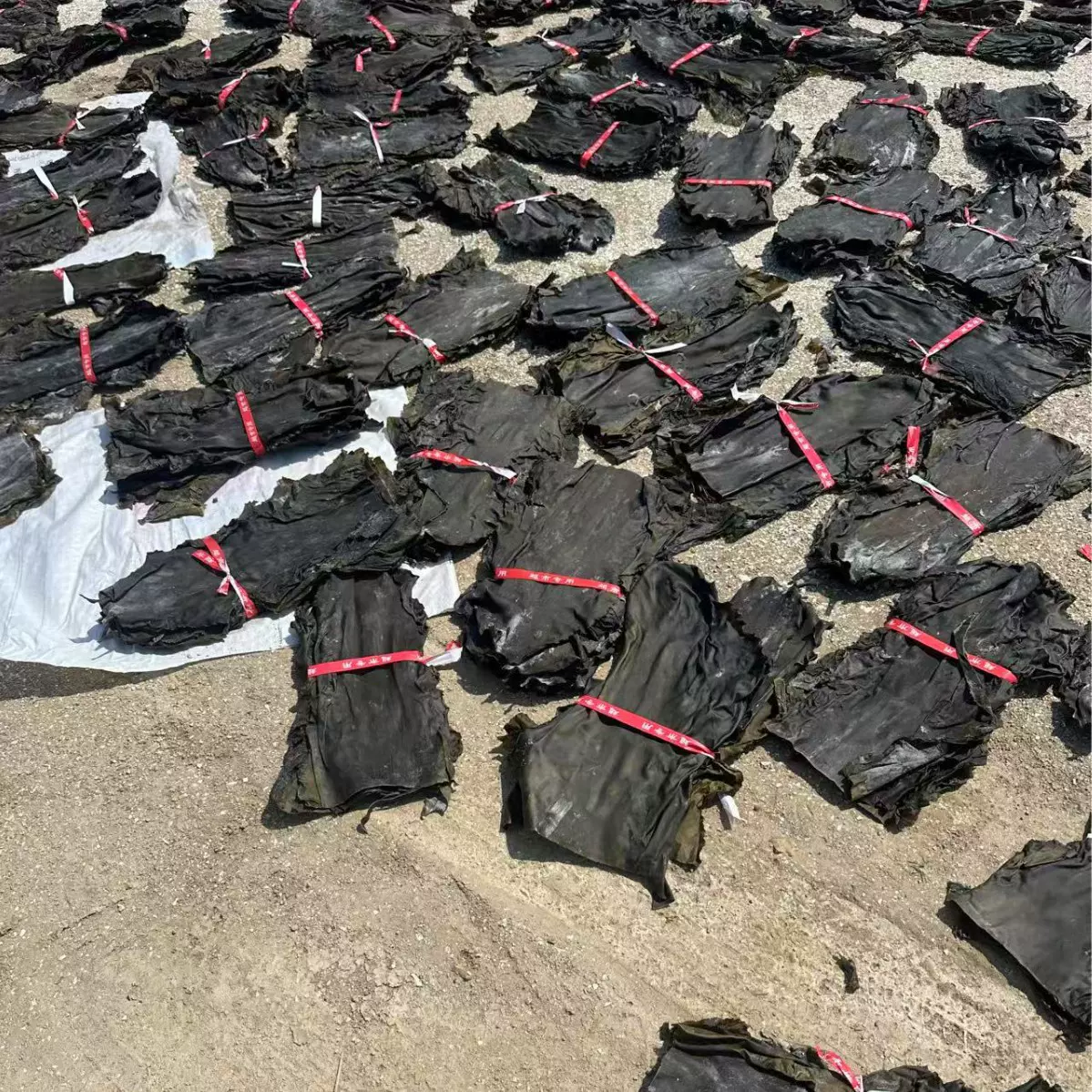 威海海带头批发厚实干海带头地摊货麻辣烫火锅煲汤干海带地摊爆款