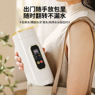 Portable Integrated Kettle Mini Dormitory Travel Burning Water Cup Small 316 Stainless Steel Thermostat Cup