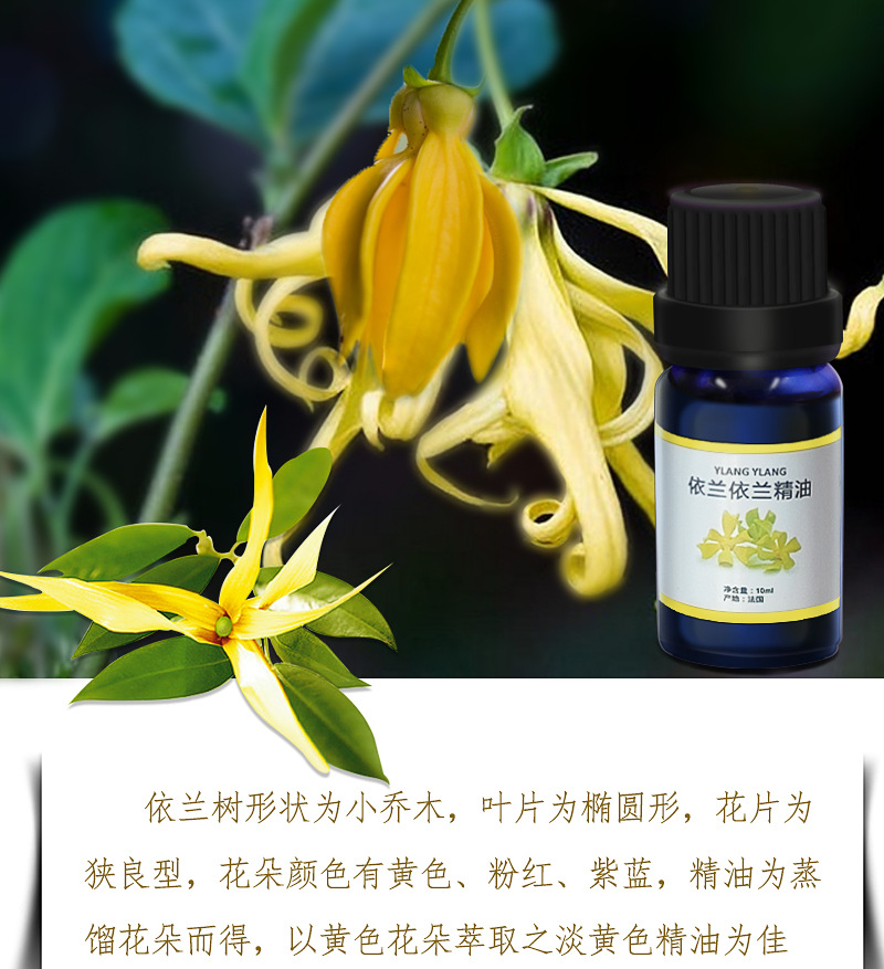 Neroli Essential Oil 10ml, Plant-Based Aromatherapy for Massage, Skin Care, and Home Fragrance detail image