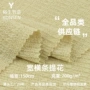 横条肌理春秋200g面料