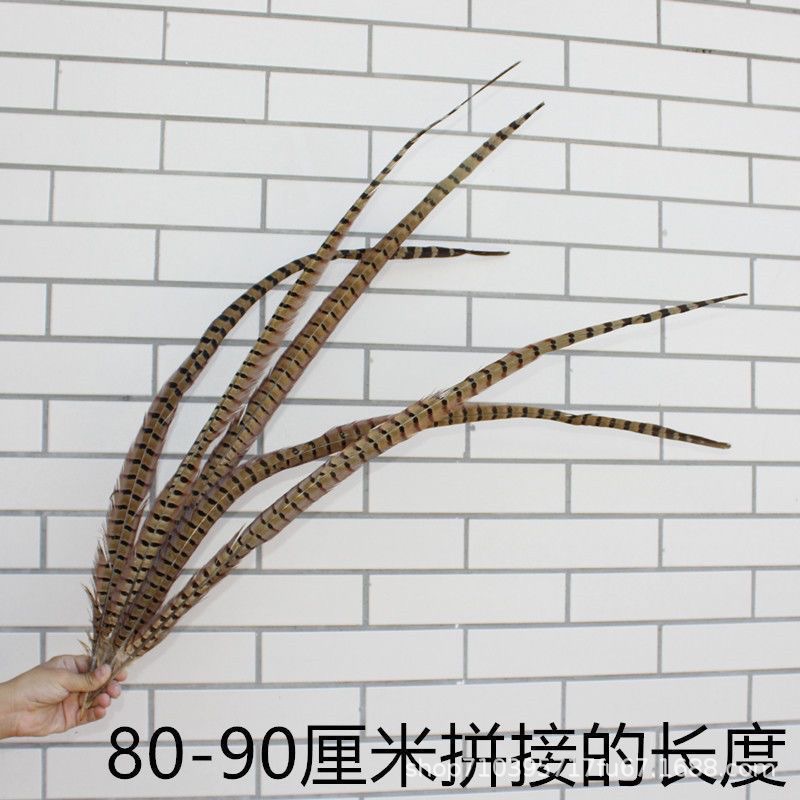 Fábrica al por mayor pelo de faisán 10-90cm cola de faisán pluma de bricolaje danza plumas de faisán cola de gallina palo de gato divertido image 24