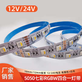 5050七彩rgbw灯带四合一24V 12V60灯高亮白光变色可调光低压led灯