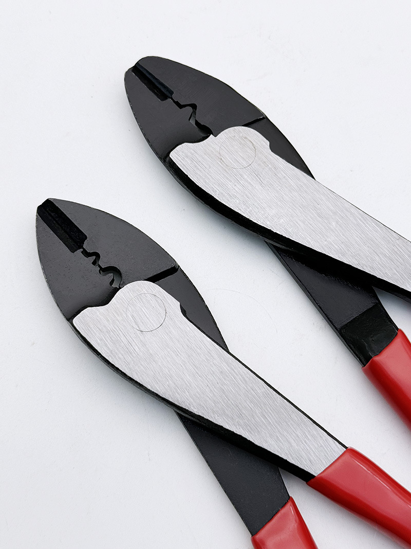 微信图片_20241228205523