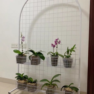 Vertical Floor-Standing Iron Mesh Frame Semi-Circular Wedding Decoration Kindergarten Work Foldableing Display Stand Mobile