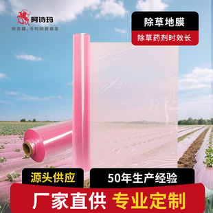 Thickened Pe Insulation Weed Control Film, Transparent Greenhouse Film, Wholesale Plastic Sheet, Film Manufacturer Direct Supply, Moisture Retention and Weed Prevention