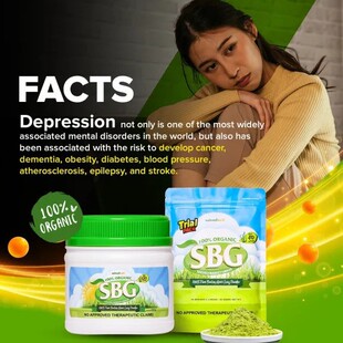 �羳���Q  �����ݷ۴������Organic barley grass powder