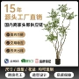 人造落地盆栽客厅造景