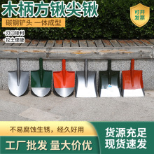 �S�����l��Ҏ��һ�w�����F�@�r���F�}���÷N�˷N�������ڿ�С�P��