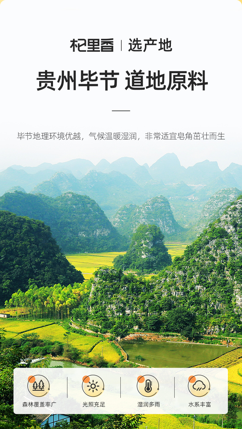 Gleditsia Sinensis Seed 100g Zao Jiao Mi Large Plump Seeds for Soup and Dessert key features