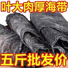 ����ϼ�ָɺ����Օ񺣎���؛ 5��ɢ�b���÷��ؼ��񺣎��z�^Ƭ�Ҝ�