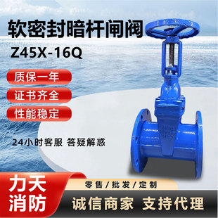 ܛ�ܷⰵ�U�l�yZ45X-16Q�����y�T�ܵ���ˮ��ˮ�y�Tܛ�ܷⰵ�U�l�y