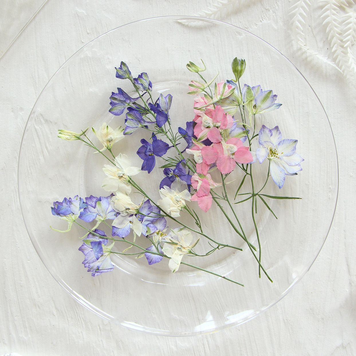 飞燕带枝 押花干花diy贺卡书签滴胶饰品配件香薰蜡烛压花干叶