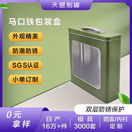 透明开窗手提马口铁盒方形带扣金属密封礼品收纳铁盒包装小号铁盒