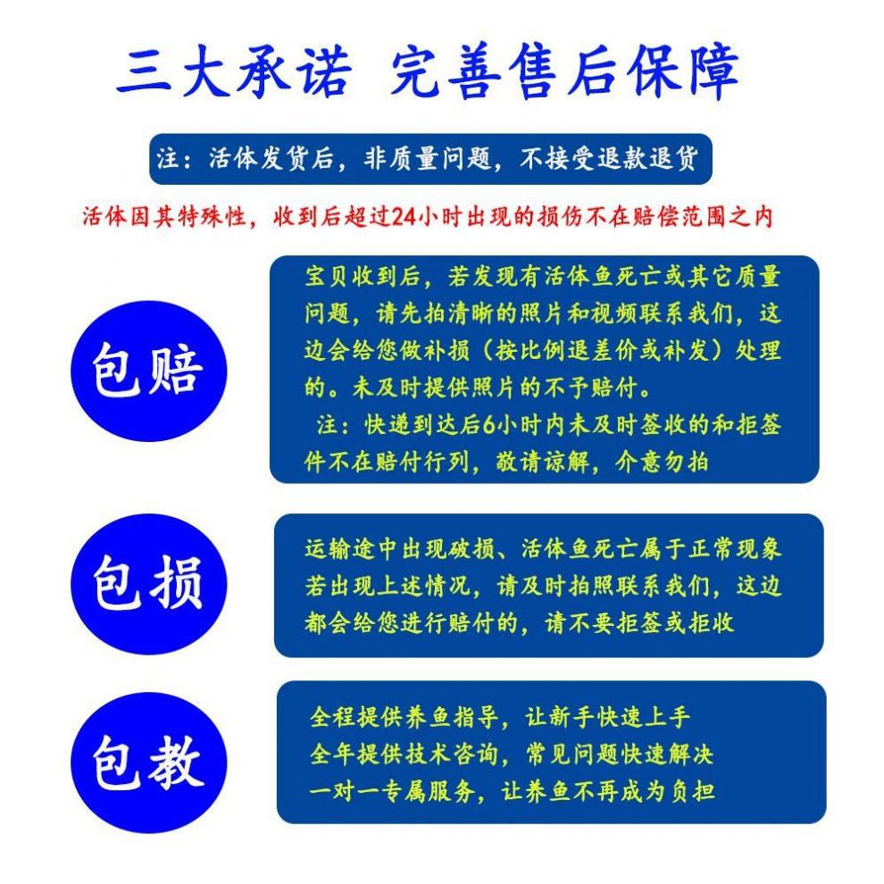 3617ef7d-d9d6-4b9b-847e-d0a9e3671c44.jpe