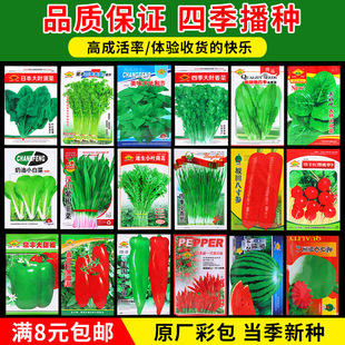 �߲˷N���ļ����N�̨ͥԺ������˷��������S�ϲ����������ݴ�ȫ