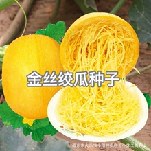 ��z�g�ϷN�ӽg�������S��ǹ���Ȼ�۽z�ϷN����߮a�ļ��߲˷N��