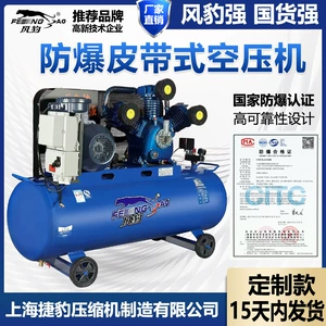 Wind Leopard Partlayışa Davamlı Hava Kompressoru Böyük Sənaye Dərəcəli 380V Avto Təmir