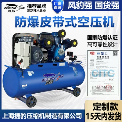 Wind Leopard Explosion-Proof Air Compressor Large Industrial Grade 380V Air Compressor Air Pump Spray Paint Auto Repair