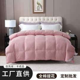 厂家批发半成品自充绒羽绒被壳双层贡缎提花纯棉四季被防钻绒定制