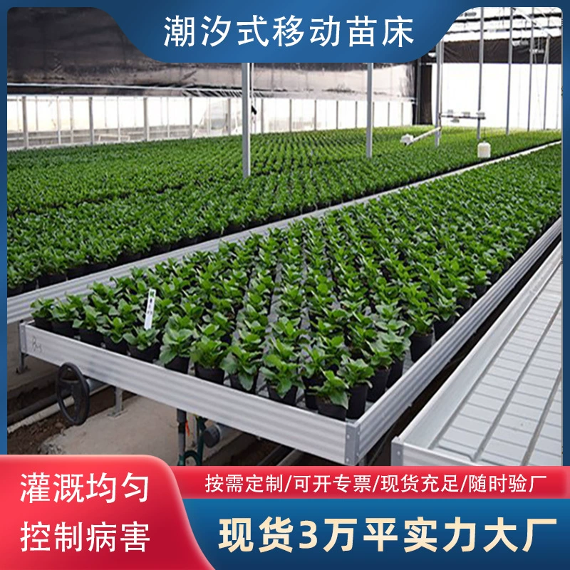 Специальная автоматическая мобильная грядка для гидропонного выращивания рассады, оцинкованная, антикоррозийная и антигрибковая, для высадки рассады методом приливного полива.