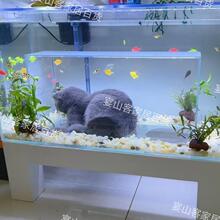 ؈�C�~��؈���~��5���ײ���؈��؈�C؈���^�p��؈