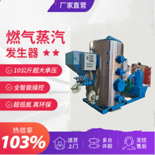 两用燃油燃气蒸汽热水锅炉高效节能食品加工服装蒸汽清洗