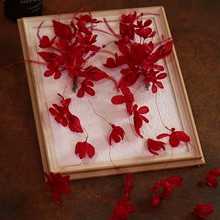 �Ƽtɫ�����^���ʽ�P�l�����^�����۰l���̷��h���Y���鼆���