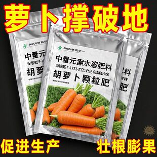 �}�����÷ʺ��}��ˮ�����}���w���������ؼ�ͥ���ϷN��