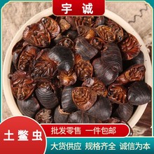 ��Ԫ��ș�����l��Ԫ�����M�x���M�x���e�x�����x�U�x���M�ӷ�