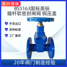 Z45XUքܛܷly ly ĸS~Brass DN100