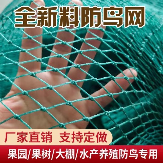 大棚尼龙线防鸟网养殖网鱼塘果园网果树用