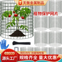 厂家供应花园铁丝笼 植物保护铁丝编织植物保护网格片