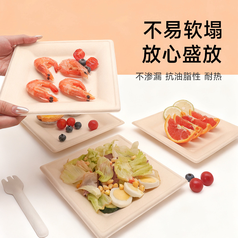 Caja de comedor desechable de pulpa de caña de azúcar Shaolou cubiertos ecológicos biodegradables platos domésticos para picnic al aire libre